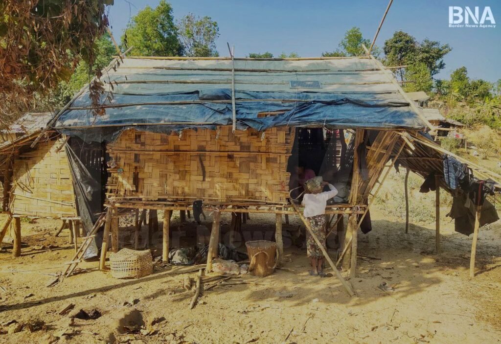 photo_2025-02-17_09-33-47 (2)