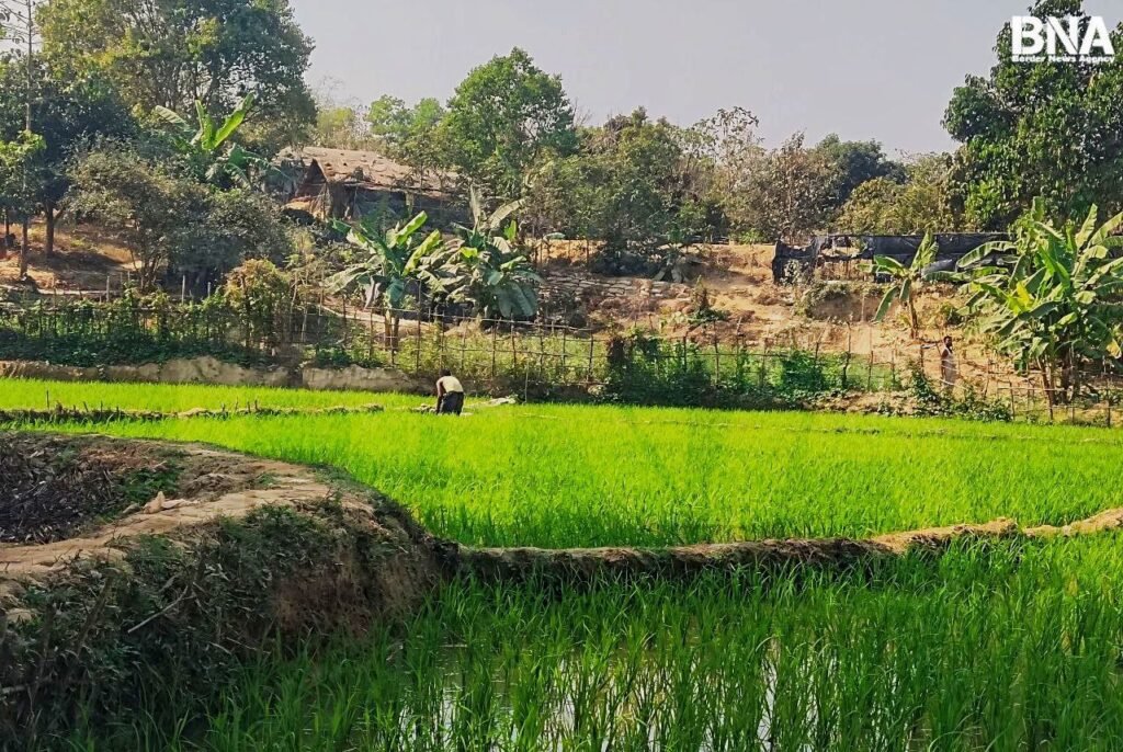 photo_2025-02-17_09-33-47 (3)