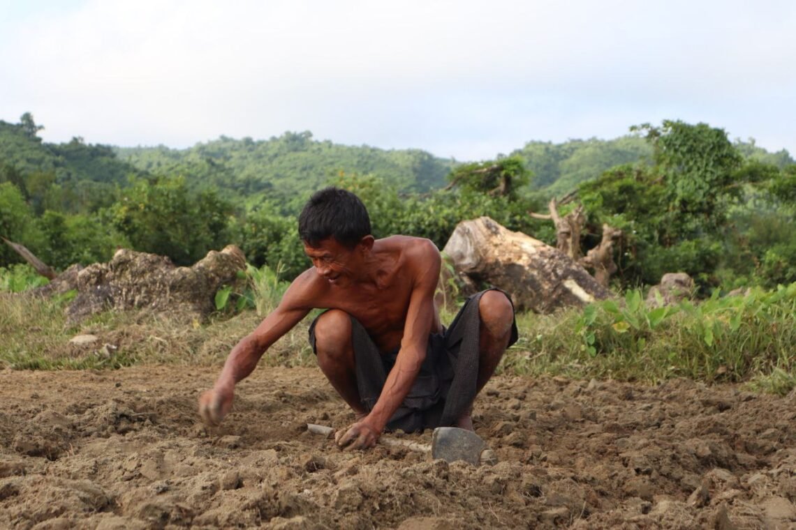 (ဓာတ်ပုံ - ဆောင်းသီးနှံစိုက်တောင်သူတဦးကို မယူတောင်အနီးတွေ့ရပုံ / BNA) 