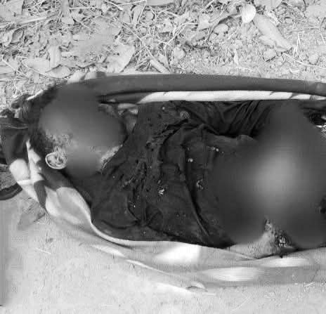 ဓာတ်ပုံ - APM