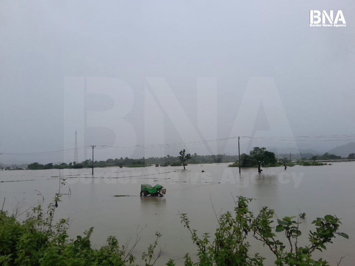 (ဓာတ်ပုံ - ကျောက်တော်မြို့ကလယ်ယာမြေတချို့ကို ဇူလိုင်လ ၇ ရက်နေ့ကတွေ့ရပုံ / BNA)