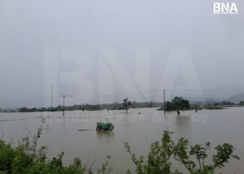(ဓာတ်ပုံ - ကျောက်တော်မြို့ကလယ်ယာမြေတချို့ကို ဇူလိုင်လ ၇ ရက်နေ့ကတွေ့ရပုံ / BNA)