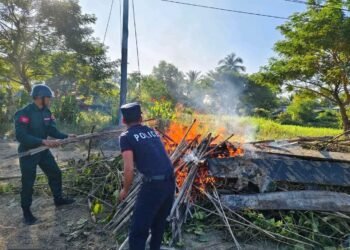 (ဓာတ်ပုံ - ဘိန်းစာရွက်ပင်တွေကို အာရက္ခတပ်တော်က မီးရှို့ဖျက်စီးနေစဥ် / APM)