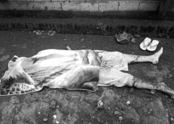 (ဓာတ်ပုံ - တအာင်းတပ်မတော်)