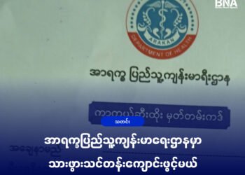 (ဓာတ်ပုံ - အာရက္ခပြည်သူ့ကျန်းမာရေးဌာနရဲ့ကလေးကာကွယ်ရေးထိုးမှတ်တမ်း / BNA)