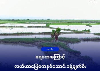 (ဓာတ်ပုံ - မင်းပြာမြို့နယ်က စပါးစိုက်လယ်မြေတနေရာကို ဇူလိုင်လနောက် ဆုံးအပတ်ကတွေ့ရပုံ / BNA)
