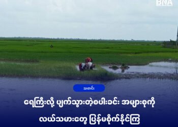 (ဓာတ်ပုံ -မင်းပြားမြို့နယ်က လယ်ယာလုပ်ငန်ခွင်ကို သြဂုတ်လပထမအပတ်ကတွေ့ရပုံ / BNA)