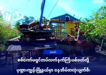 Photo - APM