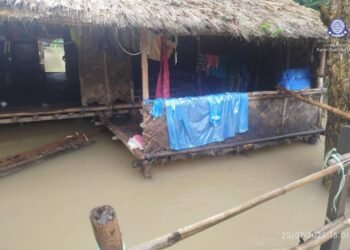 ဓာတ်ပုံ - ကရင်အမျိုးသားအစည်းအရုံး