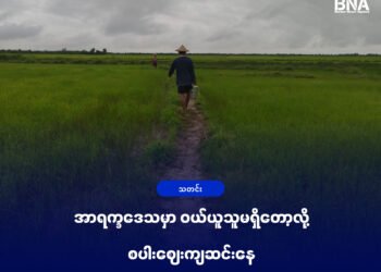 (ဓာတ်ပုံ - အာရက္ခဒေသက လယ်ယာလုပ်ငန်းခွင့်တခု / BNA)