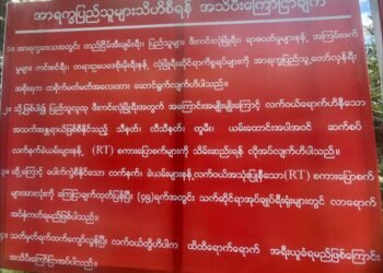 Photo - One Nation News