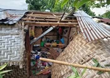 Photo - PSLF/TNLA News