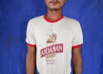 (ဓာတ်ပုံ - APM)