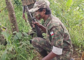 (ဓာတ်ပုံ - ဟင်ဂျာအမည်ခံလက်နက်ကိုင်အကြမ်းဖက်သမားတွေ / လူမှုကွန်ရက်)