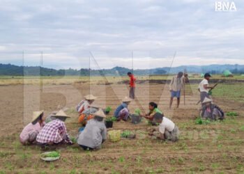 (ဓာတ်ပုံ - အာရက္ခတပ်တော်ထိန်းချုပ်နယ်မြေတနေရာ / BNA)