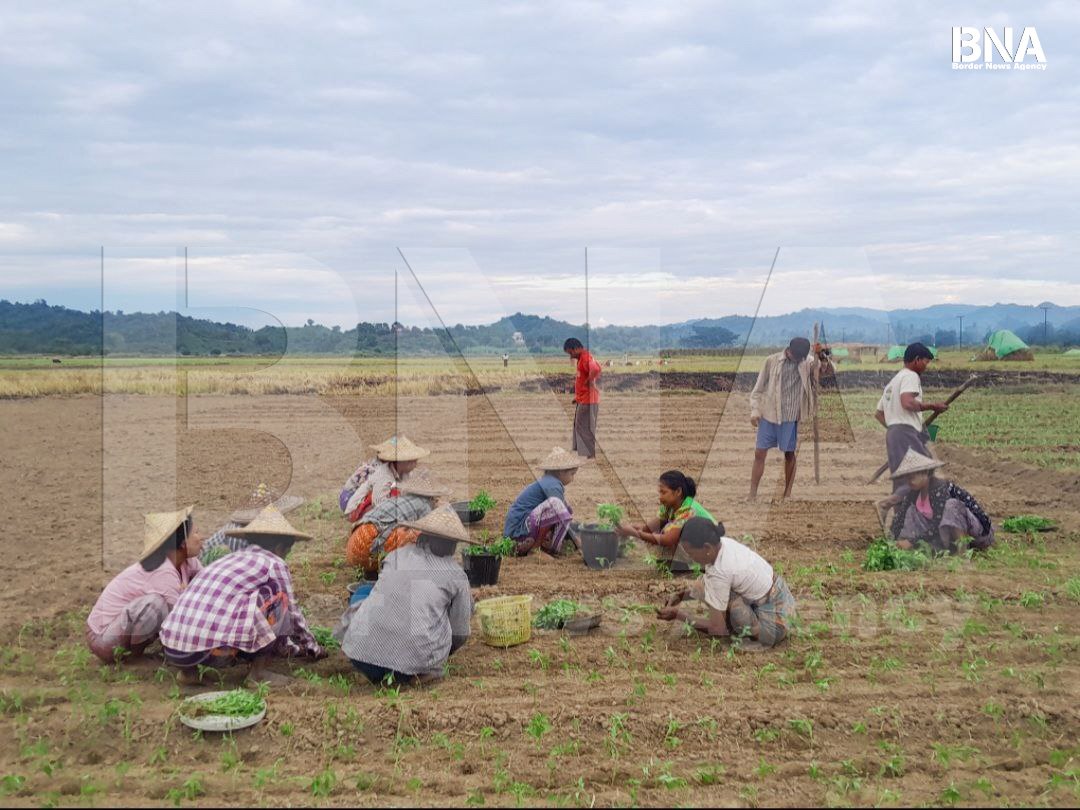 (ဓာတ်ပုံ - အာရက္ခတပ်တော်ထိန်းချုပ်နယ်မြေတနေရာ / BNA)