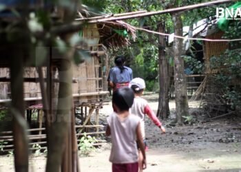 (ဓာတ်ပုံ - မြောက်ဦးမြို့နယ်က စစ်ဘေးရှောင်စခန်းတနေရာ / BNA)