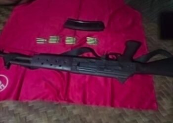 ဓာတ်ပုံ - DSNA