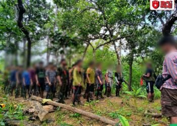 ဓာတ်ပုံ - ပကဖအသံ