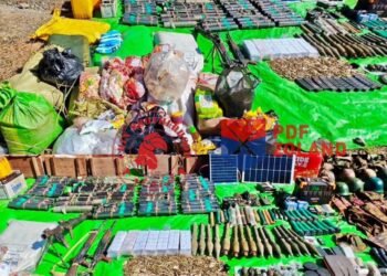 ဓာတ်ပုံ - PDF Zoland