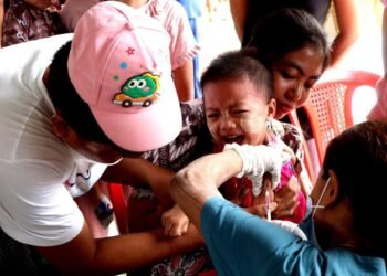 ဓာတ်ပုံ - APM