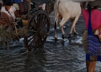 ဓာတ်ပုံ-ပအဖအဖွဲ့ပေါက်မြို့နယ်