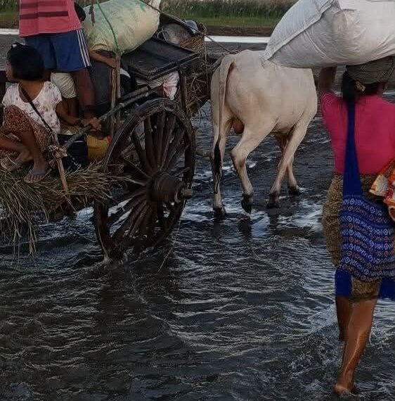 ဓာတ်ပုံ-ပအဖအဖွဲ့ပေါက်မြို့နယ်