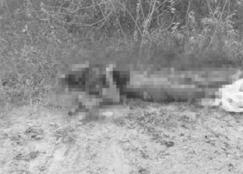 ဓာတ်ပုံ - ဗန်းမောက်မြို့နယ်ပြည်သူ့အုပ်ချုပ်ရေးအဖွဲ့