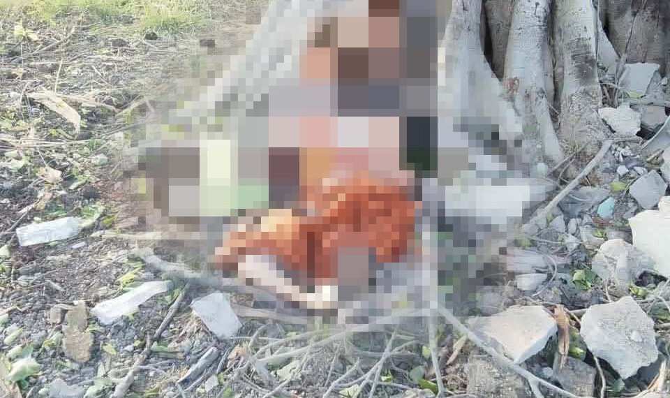 ဓာတ်ပုံ-ဝက်လက်သတင်းကွန်ရက်