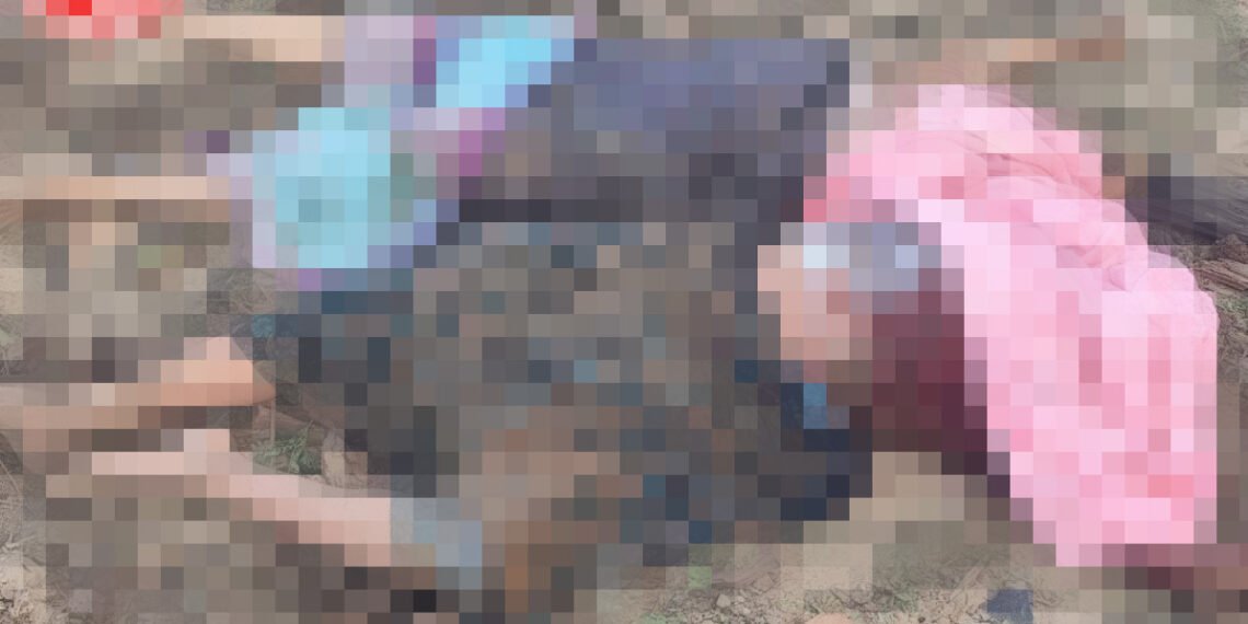 ဓာတ်ပုံ-ဝက်လက်သတင်းကွန်ရက်