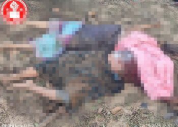 ဓာတ်ပုံ-ဝက်လက်သတင်းကွန်ရက်