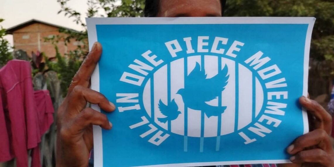 Photo - All In One Piece Movement