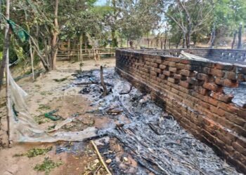 ဓာတ်ပုံ - မုံရွာမြို့နယ် ပလဖ