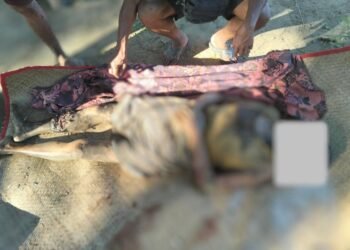 ဓာတ်ပုံ - ဧရာဝတီတိုင်း၊ လေးမျက်နှာမြို့နယ်၊ စောပြာကျေးရွာကို ဒီဇင်ဘာလ ၂၀ ရက်နေ့က စစ်ကော်မရှင်တပ်လေကြောင်းတိုက်ခိုက်လို့ သေဆုံးသွားတဲ့ ကျေးရွာသားတဦး