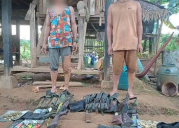 ဓာတ်ပုံ-တောင်ညိုတပ်ရင်း