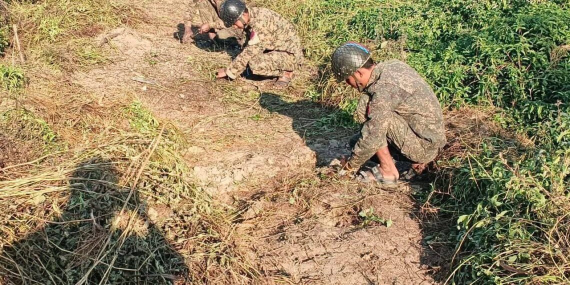 ဓာတ်ပုံ - APM