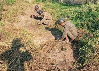 ဓာတ်ပုံ - APM