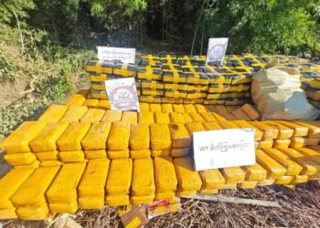 ဓာတ်ပုံ - NUG