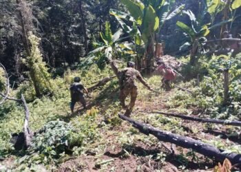 ဓာတ်ပုံ - လူထုတော်လှန်ရေးမဟာမိတ်အင်အားစု (PRA-Magway)