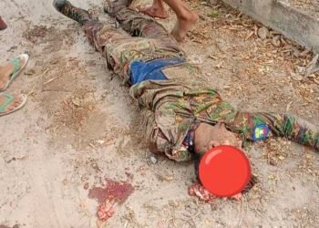 ဓာတ်ပုံ - လင်းယုန်ညီနောင်ပြောက်ကျားတပ်ဖွဲ့