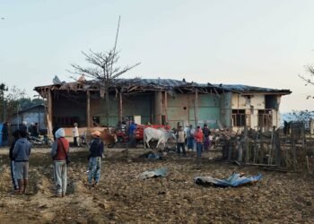 Photo - Indaw Revolution-IR