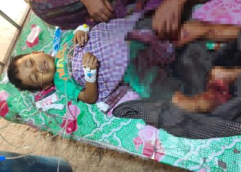 ဓာတ်ပုံ - AA