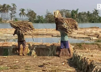 ​ဓာတ်ပုံ - BNA