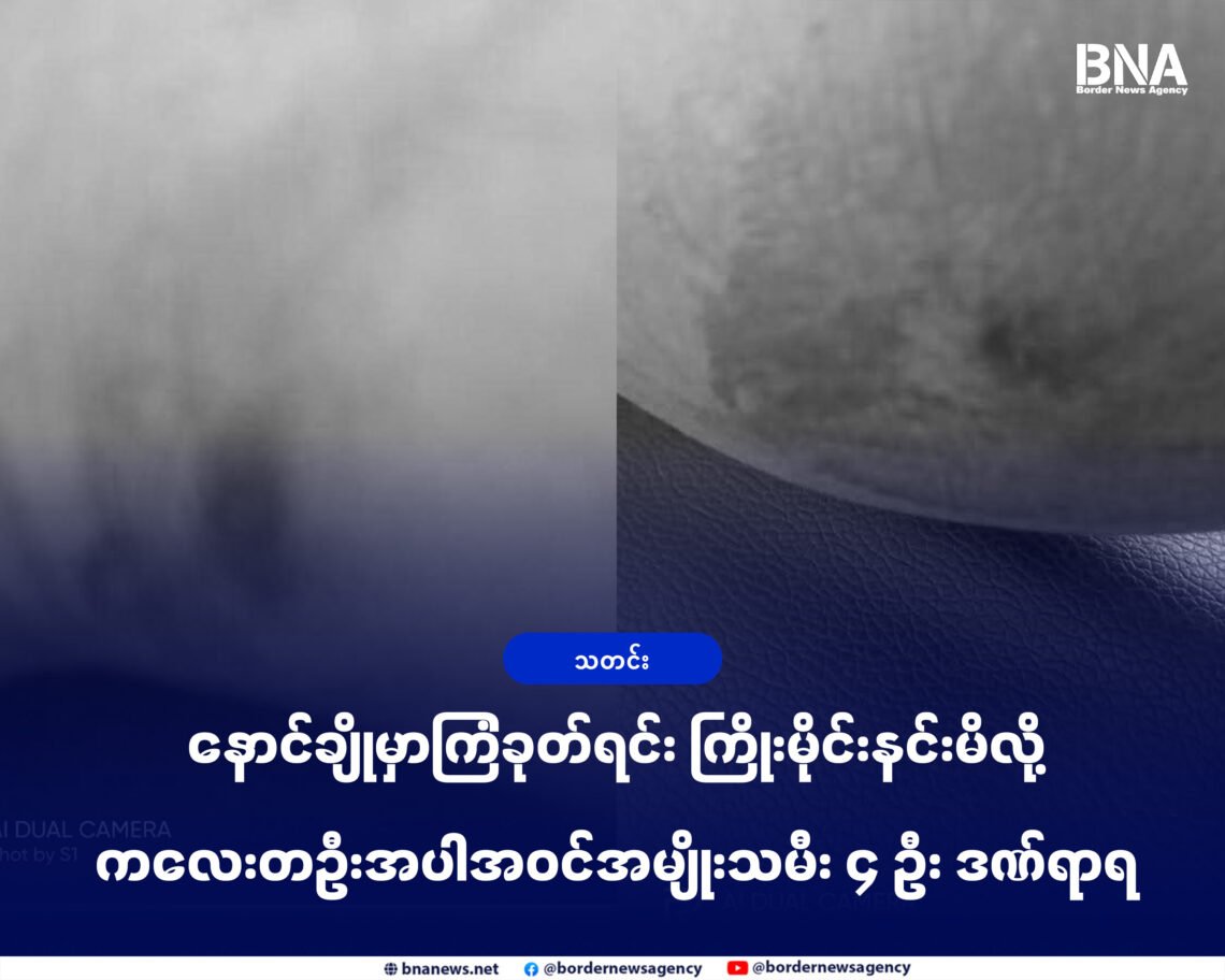 ဓာတ်ပုံ - တအာင်းအမျိုးသမီးအဖွဲ့အစည်း