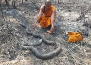 ဓာတ်ပုံ - လူမှုကွန်ရက်