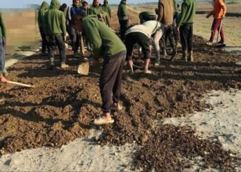 ​Photo - Golden Era Media