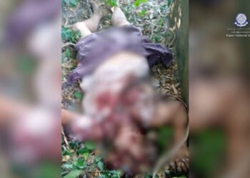 ဓာတ်ပုံ - ကရင်အမျိုးသားအစည်းအရုံး - ဗဟို