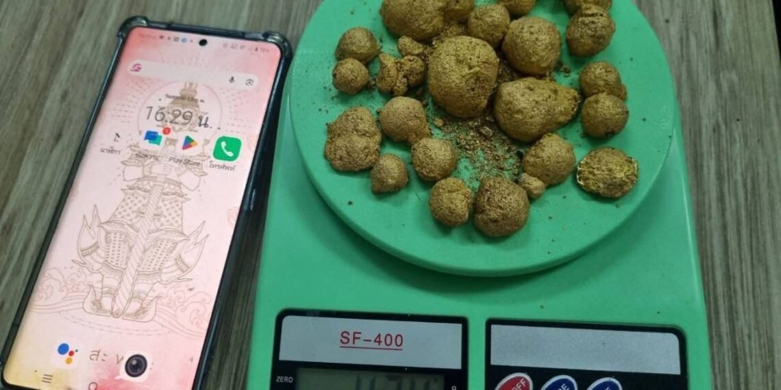 Photo - Kanchanaburi News