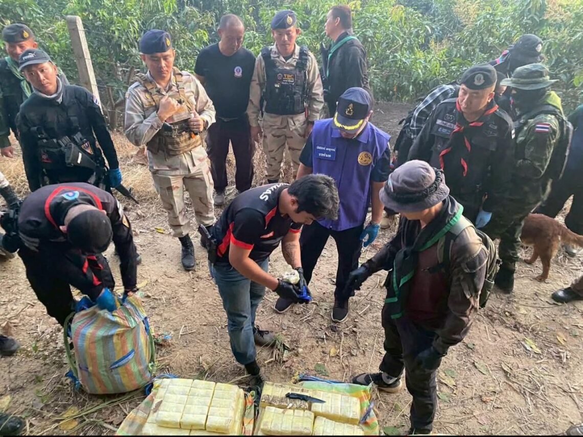 ​Photo - North Now