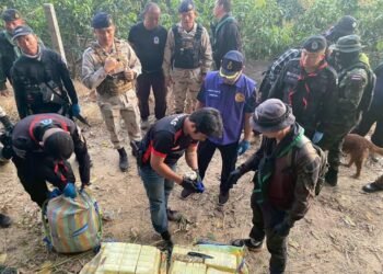 ​Photo - North Now